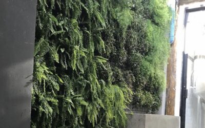 Jardim Vertical: sinônimo de bem estar