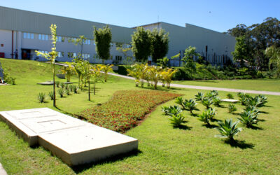 Paisagismo e Sustentabilidade