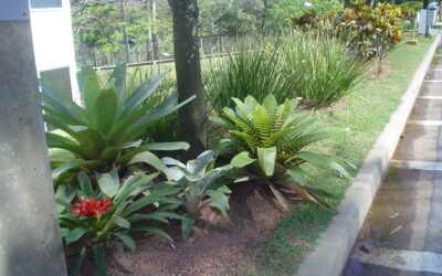 Paisagismo Corporativo – espaços externos