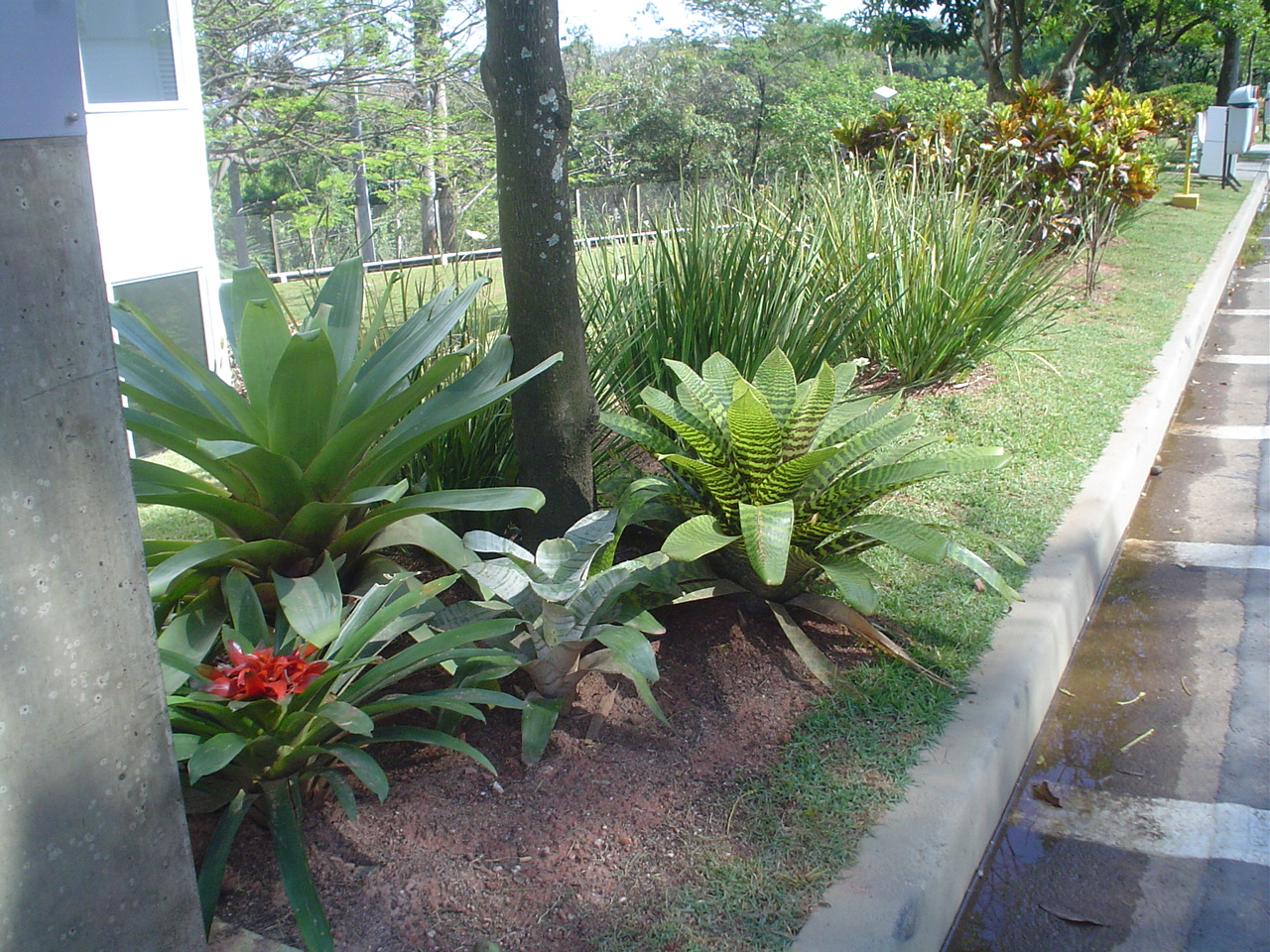 Paisagismo Corporativo - áreas externas - cenário impactante e acolhedor