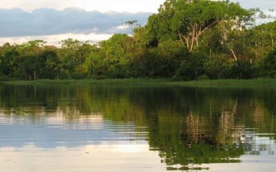 Bioma Amazônia – Parte 2 – Florestas Estacionais
